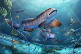 Hồi sinh quái vật 290 triệu tuổi, tổ tiên "bóng ma đại dương" 