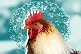 Đại dịch cúm ở Trung Quốc nguy hiểm hơn SARS-CoV-2?