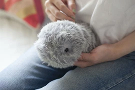 Robot thú cưng sử dụng công nghệ AI sẽ “đốt túi” bạn trẻ?