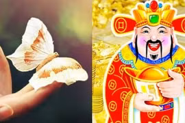 Đầu năm gặp 5 dấu hiệu này chứng tỏ Thần Tài sắp gõ cửa 