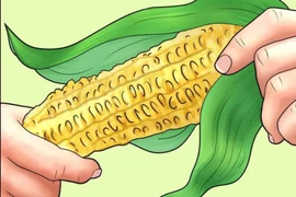 Những vật liệu kỳ quặc làm “giấy vệ sinh”, nghe thôi đã thấy nhói đau 