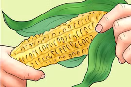 Những vật liệu kỳ quặc làm “giấy vệ sinh”, nghe thôi đã thấy nhói đau 