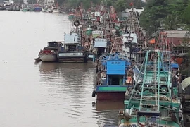 Hơn 900 tàu cá nằm bờ vì chi phí ra khơi đội gấp đôi