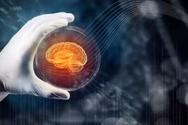 “Nuôi” nội tạng người ngoài không gian, các nhà khoa học thu được gì?