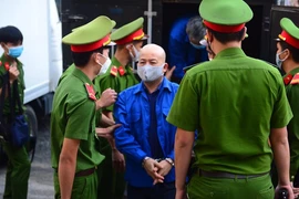 Vì sao "Út trọc" Đinh Ngọc Hệ phản cung?