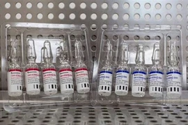 Chính phủ đồng ý đàm phán mua 40 triệu liều vắc xin Sputnik V