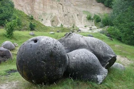 Giải mã loài "đá sống" kỳ lạ, chỉ cần trời mưa là... tự lớn