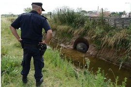 Thấy chó sủa vào hòn đá, lật lên mới biết thứ không tầm thường!