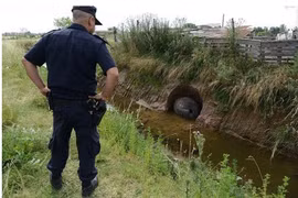 Thấy chó sủa vào hòn đá, lật lên mới biết thứ không tầm thường!