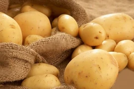 Kẻ thù của các vấn đề về dạ dày đã được tìm ra!