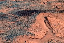 NASA bỏ sót dấu hiệu sự sống trong các bức ảnh sao Hỏa?