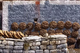 Vùng đất kỳ lạ nơi nhà nào đắp càng nhiều phân bò thì càng giàu có