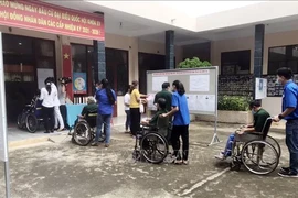 Những lá phiếu ngay trên giường điều dưỡng