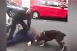 Video: Bị ngáng đường, tên tội phạm túm đầu, cắn tai chó nghiệp vụ