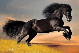 “Thần mã” nào khiến Tào Tháo nhất quyết giữ lại bên mình? 