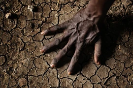 Sông băng huyền thoại tan chảy, thảm họa khủng khiếp nào xảy ra? 