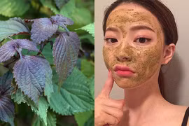 Nấu nước lá này rồi vắt nửa quả chanh, da mặt bay sạch nám 