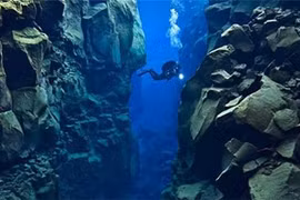 Bí mật khủng khiếp mà con người che dấu ở vùng biển “địa ngục” 