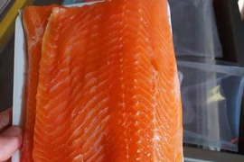 Sự thật về cá hồi Sa Pa giá rẻ?