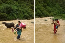 Thầy giáo cõng học sinh vượt lũ đến trường