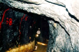 Quảng Nam: Một phu vàng chết ngạt nhiều ngày trong hầm