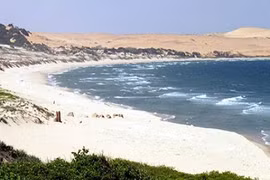 VN thắng tuyệt đối vụ kiện quốc tế về dự án South Fork