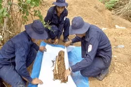 Vội vã thiêu hài cốt nghi của liệt sĩ