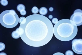 Những bệnh có thể chữa được bằng tế bào gốc