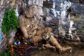 Xác ướp quấn dây thừng kì dị bất ngờ dạt bờ sông ở Anh