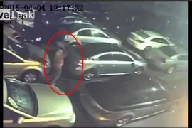 Côn đồ đột nhập bãi xe, phá hàng chục xe sang