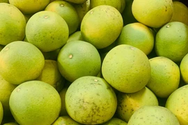 Bưởi được bán với giá 9.000 đồng/quả khiến chị em mua vài chục quả 1 lần ăn không chán