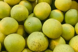 Bưởi được bán với giá 9.000 đồng/quả khiến chị em mua vài chục quả 1 lần ăn không chán