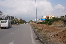 TP Hải Dương gấp rút thay thế hơn 700 cây xanh trên đường Trường Chinh