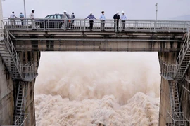 Xả lũ gây thiệt khủng khiếp ở Phú Yên: Ai chịu trách nhiệm?