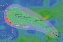 Bão Conson: Có thể sơ tán chục nghìn dân khi… dịch COVID-19 phức tạp