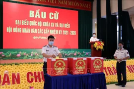 Dịch COVID-19 diễn biến phức tạp: Có nên bầu cử trực tuyến?