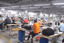 Công ty MayFair bất tuân lệnh dừng...vẫn cho 1000 công nhân sản xuất