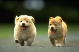 Trong nhà xuất hiện 3 dấu hiệu đại cát, gia chủ giàu nứt vách