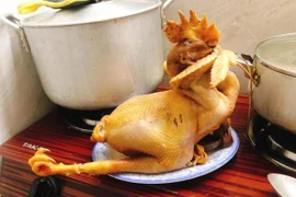 Cư dân mạng đua nhau chia sẻ hình ảnh gà luộc "bản lỗi" đêm giao thừa