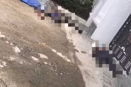 Nổ súng làm 2 người tử vong ở Nghệ An: Đã bắt được nghi phạm