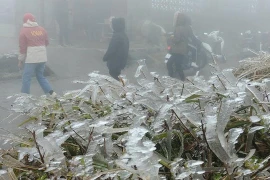 Thời tiết ngày 19/1: Bắc Bộ và Bắc Trung Bộ có mưa nhỏ vài nơi