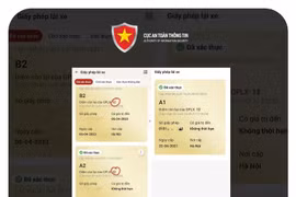 Thêm thủ đoạn lừa đảo mới cài đặt điểm giấy phép lái xe vào dịch vụ công