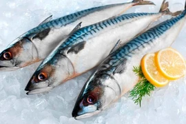 Ăn cá thường xuyên có tốt không? 