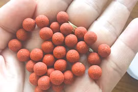 Cụ ông 70 tuổi suýt tử vong vì ngộ độc Metformin