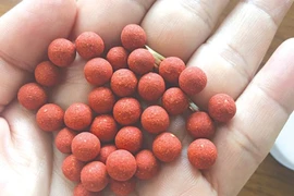 Cụ ông 70 tuổi suýt tử vong vì ngộ độc Metformin