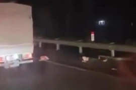 Đi bộ trên cao tốc, hai mẹ con bị xe tải tông thương vong