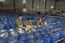 4 đối tượng sản xuất 3.500 tấn giá đỗ ngâm hóa chất bị xử lý sao?