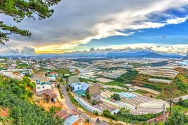 Thời tiết ngày 2/1: Bắc Bộ rét khô, Trung và Nam Bộ có mưa