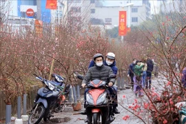 Còn nhiều đợt rét đậm, rét hại diện rộng trong tháng 2 