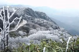 Thời tiết ngày 16/2: Không khí lạnh tăng cường, miền Bắc mưa rét